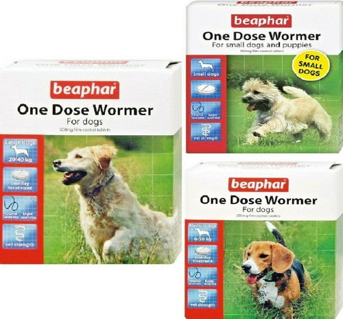 Beaphar one dose worm dog - dose,